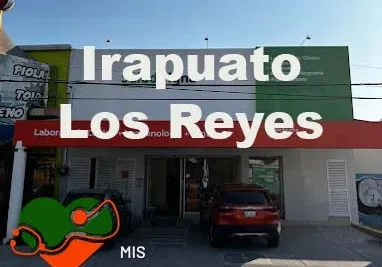 Salud Digna Irapuato Los Reyes