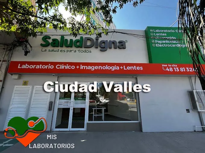 Salud Digna Ciudad Valles