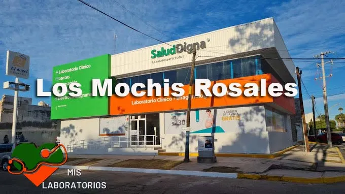 Salud Digna Los Mochis Rosales