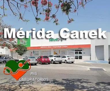 Salud Digna Mérida Canek