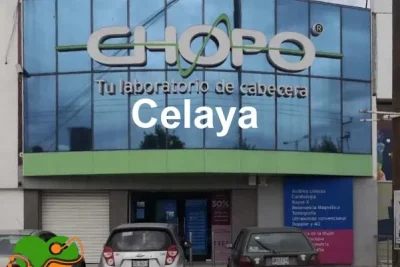 Chopo Celaya
