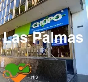 Chopo Las Palmas