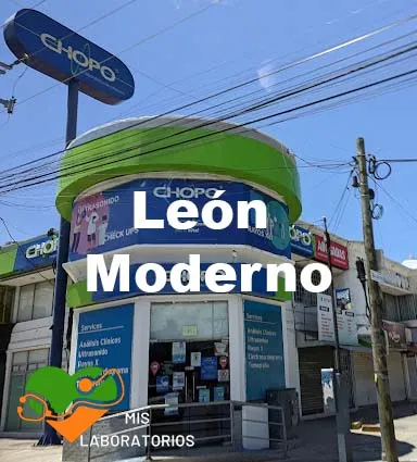 Chopo León Moderno