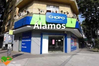 Chopo Alamos