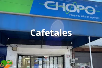 Chopo Cafetales