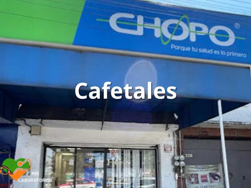 Chopo Cafetales