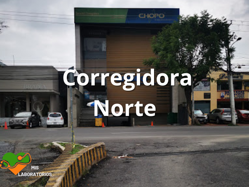 Chopo Corregidora Norte