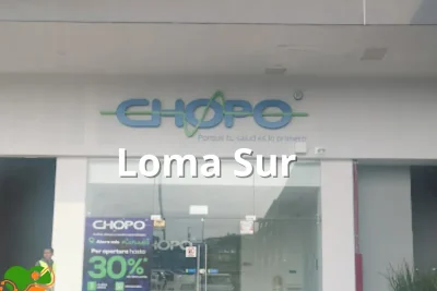 Chopo Loma Sur
