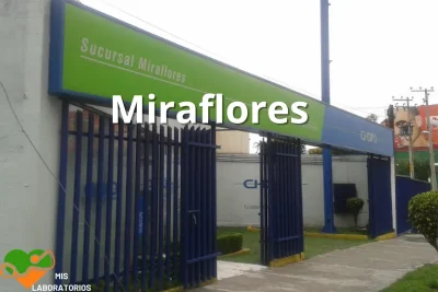 Chopo Miraflores