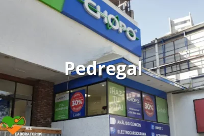 Chopo Pedregal