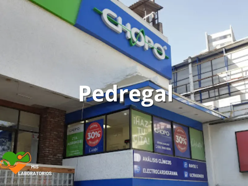 Chopo Pedregal