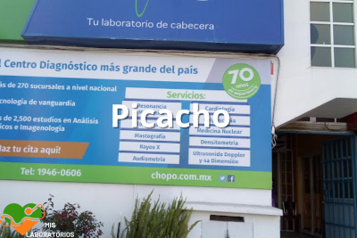 Chopo Picacho