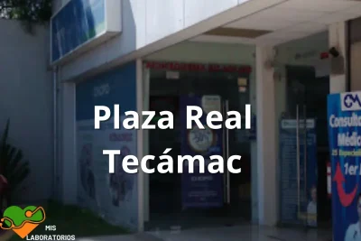 Chopo Plaza Real Tecamac