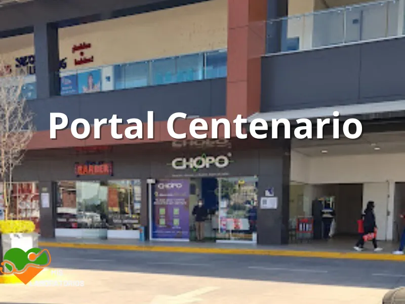 Chopo Portal Centenario