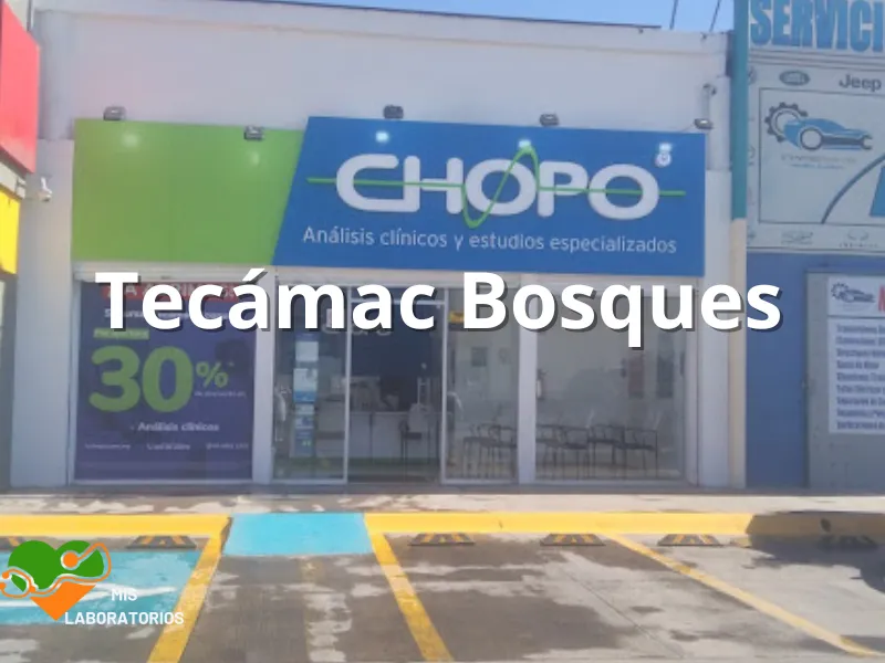 Chopo Tecamac Bosques