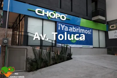 Chopo Toluca