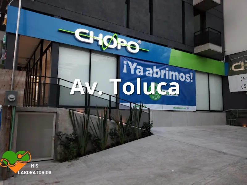 Chopo Toluca