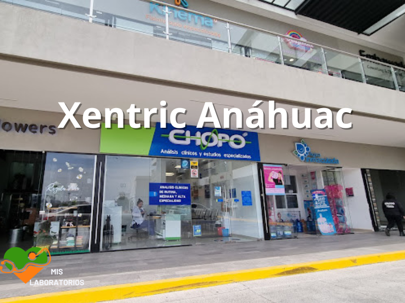 Chopo Xentric Anahuac