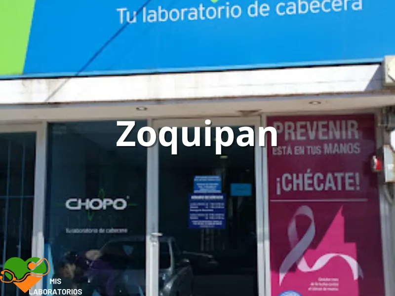 Chopo Zoquipan