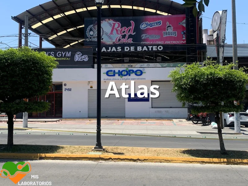 chopo atlas