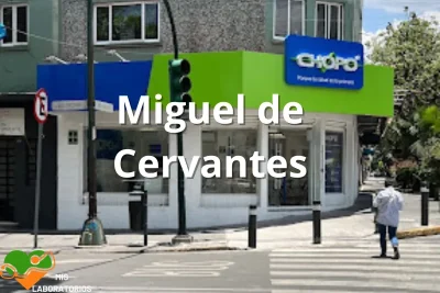 Chopo Miguel de Cervantes