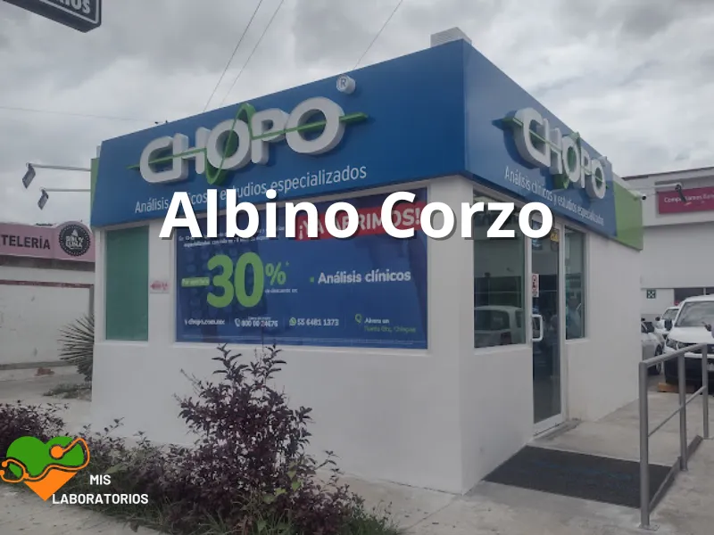 Chopo Albino Corzo