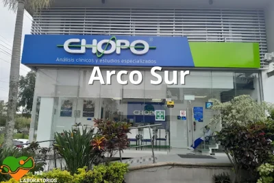 Chopo Arco Sur