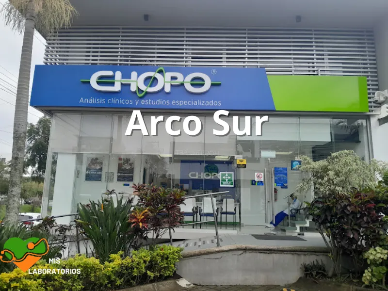 Chopo Arco Sur