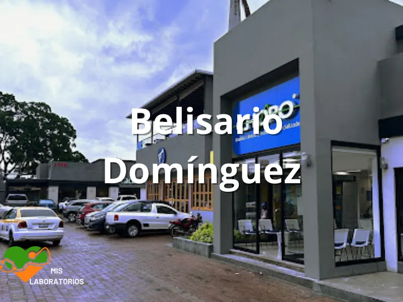 Chopo Belisario Dominguez