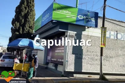 Chopo Capulhuac
