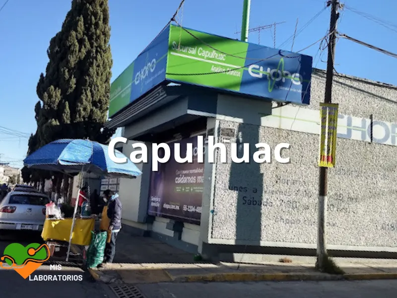 Chopo Capulhuac