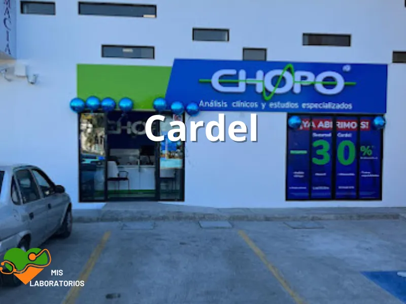 Chopo Cardel