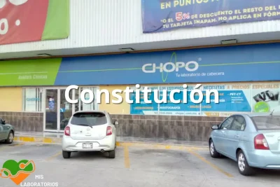 Chopo Constitución