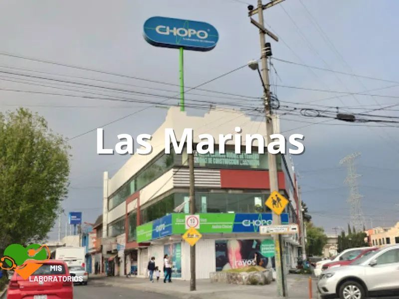 Chopo Las Marinas