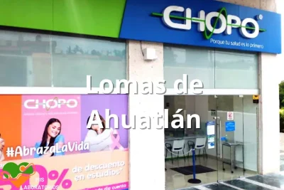 Chopo Lomas de Ahuatlán