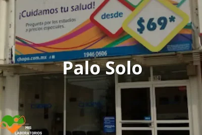 Chopo Palo Solo