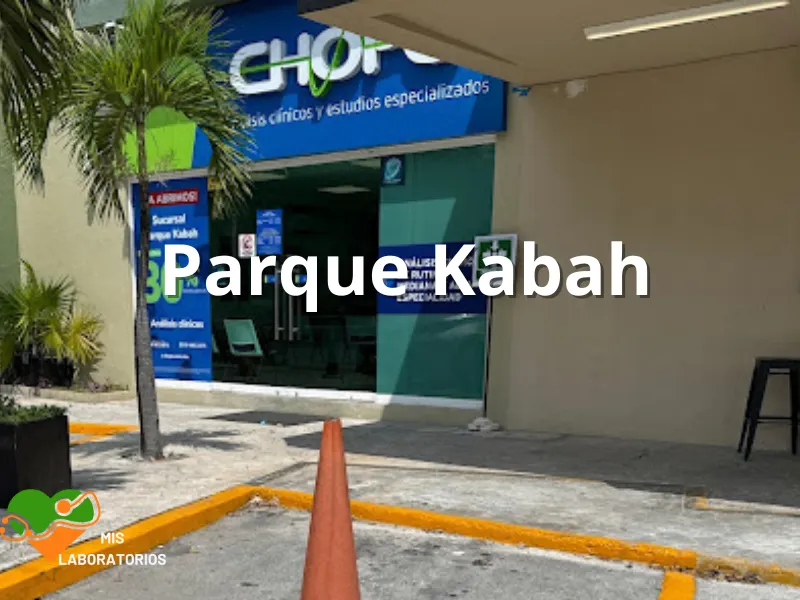 Chopo Parque Kabah