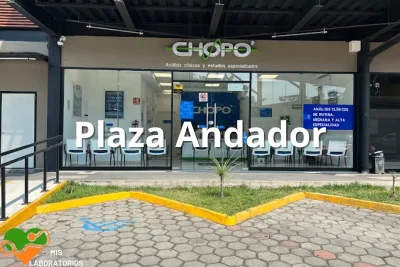 Chopo Plaza Andador