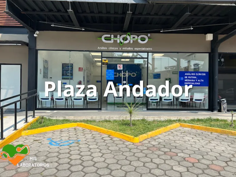 Chopo Plaza Andador