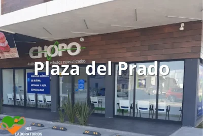 Chopo Plaza del Prado
