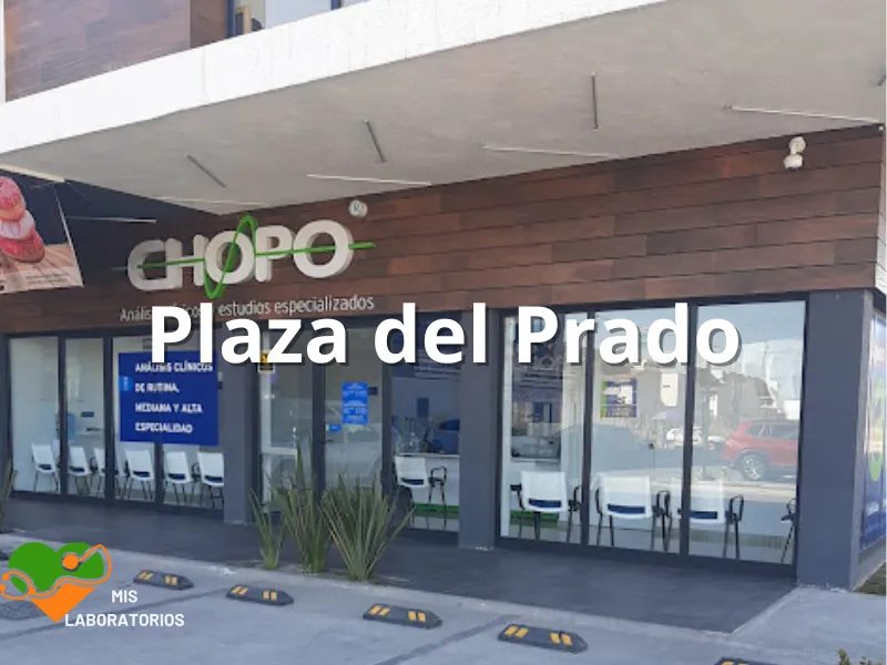 Chopo Plaza del Prado