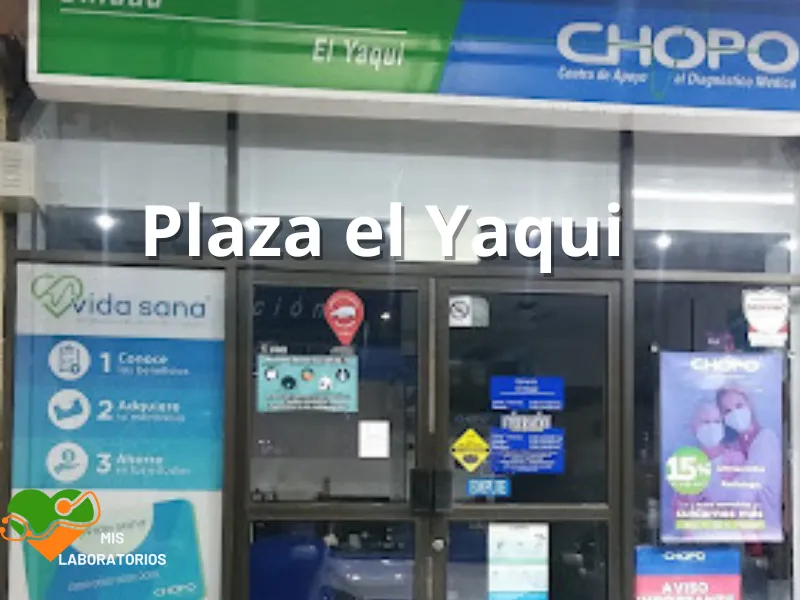 Chopo Plaza El Yaqui