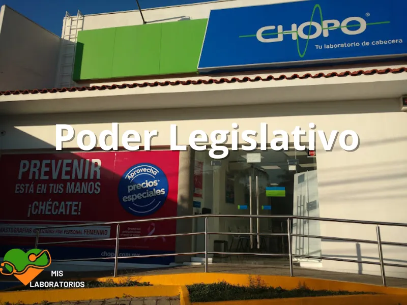 Chopo Poder Legislativo