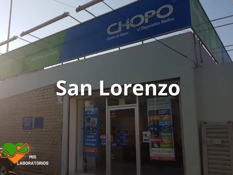 Chopo San Lorenzo