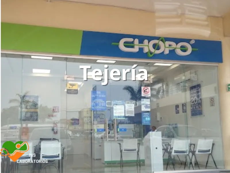 Chopo Tejeria