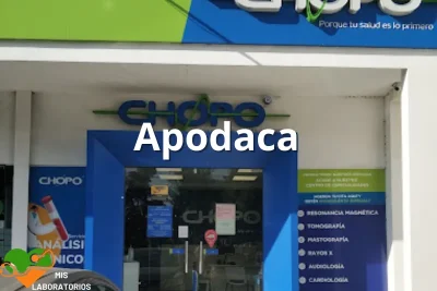 Chopo Apodaca