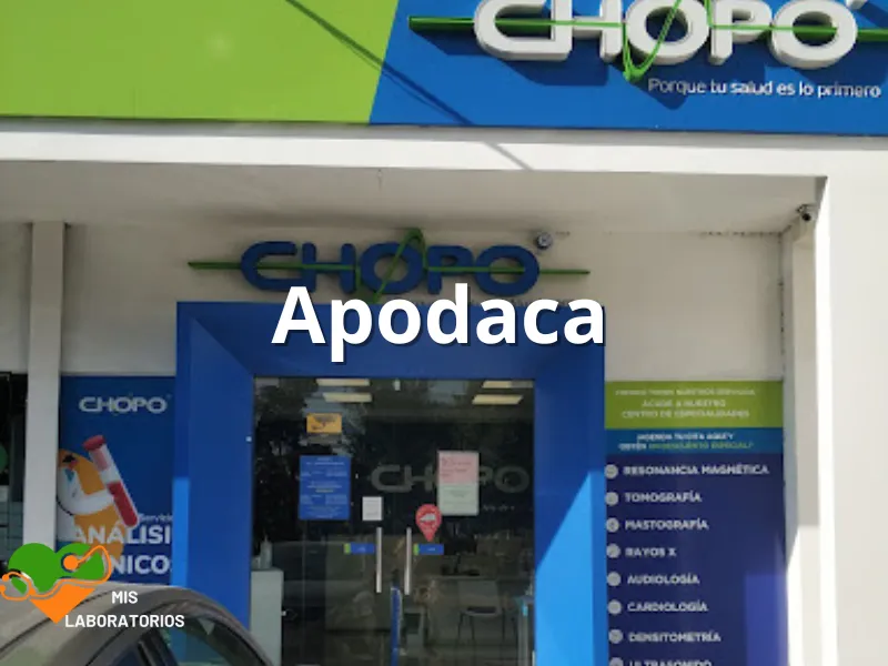 Chopo Apodaca