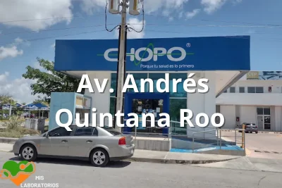 Chopo Av. Andrés Quintana Roo