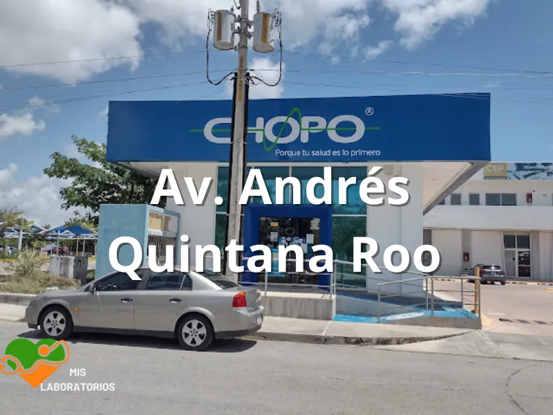 Chopo Av. Andrés Quintana Roo