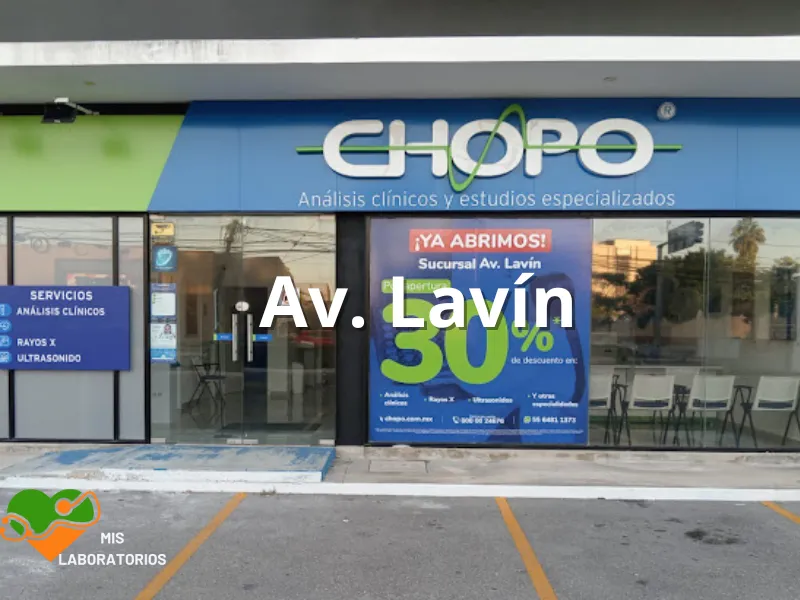 Chopo Av. Lavín